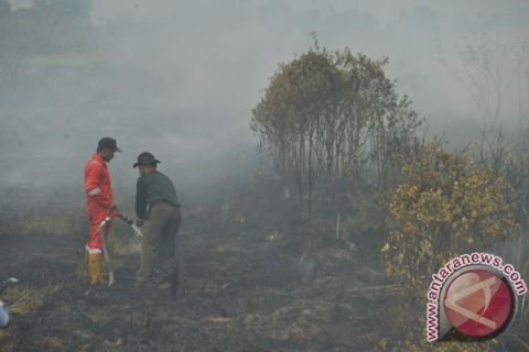 Kebakaran lahan gambut
