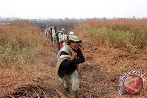 Kebakaran lahan di OKI