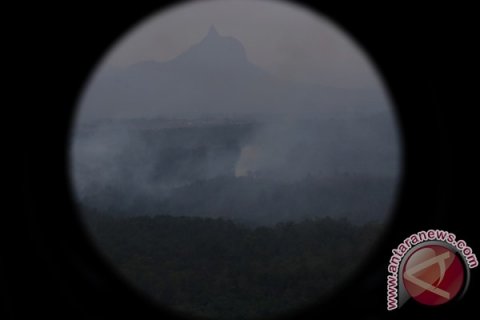 Kebakaran hutan Lahat