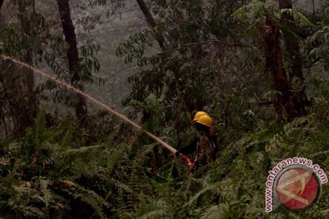 Kebakaran lahan 