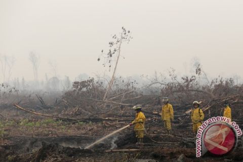Kebakaran lahan Muba
