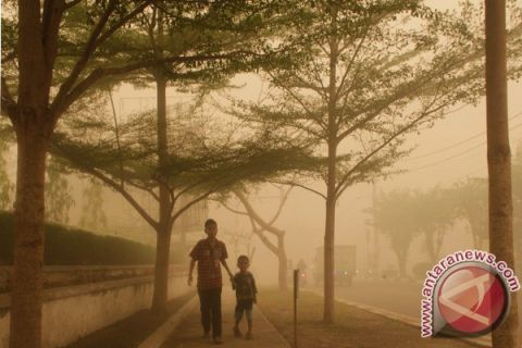 Kabut Asap Palangka Raya