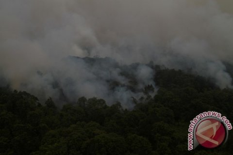 Kebakaran lahan meluas