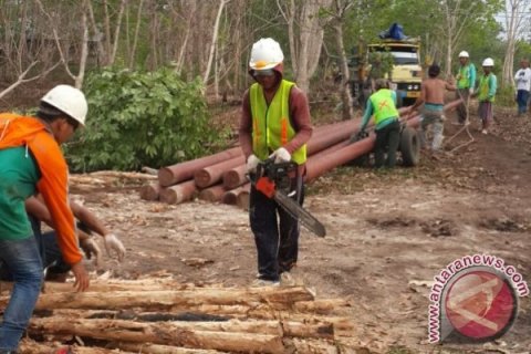 Pekerja PLN Palangka Raya Perbaiki Jaringan Listrik 