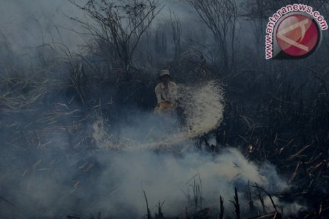 Kebakaran lahan Ogan Ilir