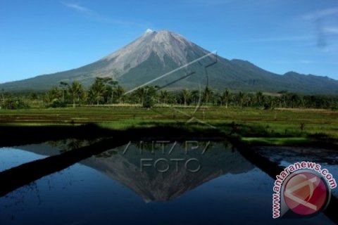 Guguran Lava Pijar Gunung Semeru