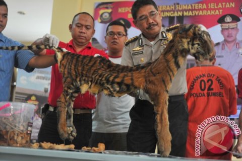 Perdagangan harimau Sumatera
