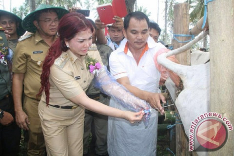 Pencangan "Mari Jo Ba Kobong"