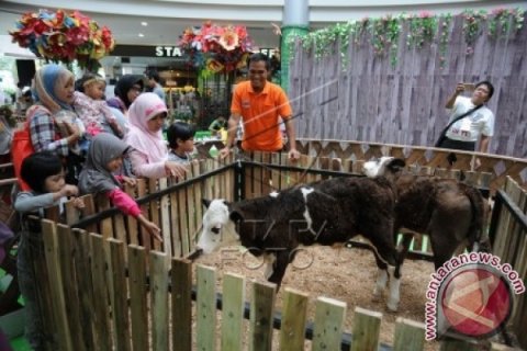 Berternak dan Berkebun di Mall