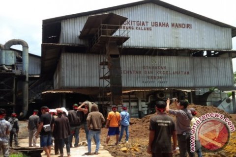 Warga Tumbang Kalang Tuntut Pabrik Sawit