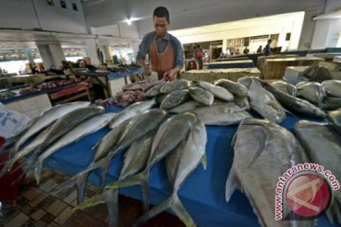 HARGA DAN STOK IKAN STABIL