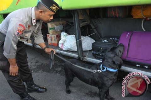 Inspeksi Arus Balik Bali