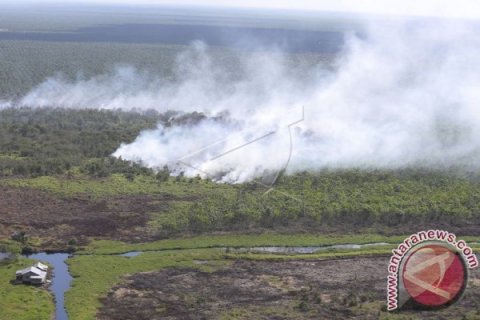 Kebakaran Hutan Dan Lahan Di Muba