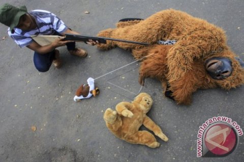 Kampanye Anti Senapan Angin