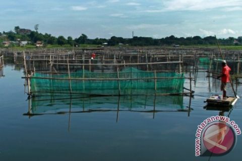 TARGET BUDIDAYA PERIKANAN SULSEL