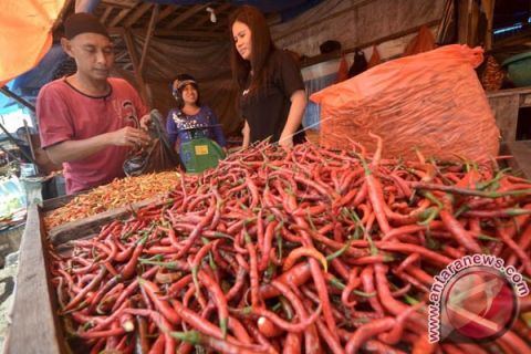 HARGA CABAI NAIK DI MAKASSAR