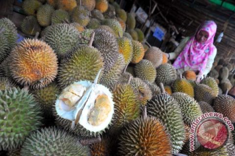 Musim Durian 
