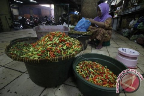Harga Cabai Masih Tinggi