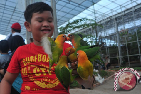 Wisata Taman Burung Di Palembang