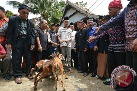 KETUA PMII DISANKSI ADAT