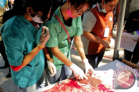 PEMERIKSAAN KESEHATAN DAGING KURBAN