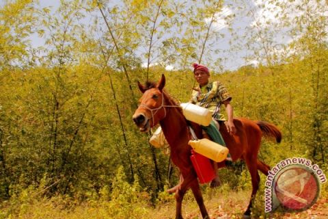 DARURAT KEKERINGAN NTT