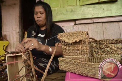 MEMANFAATKAN TANAMAN ECENG GONDOK