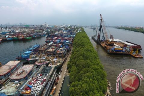 Pembangunan Tanggul Laut Muara Baru