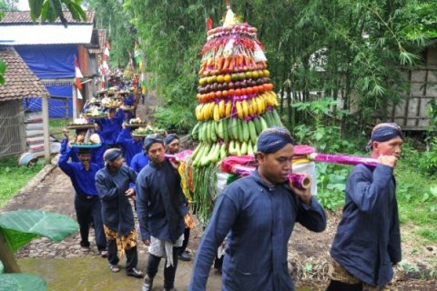 TRADISI MERTI DUSUN KETITANG