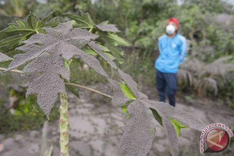 Hujan Abu Terus Berlangsung