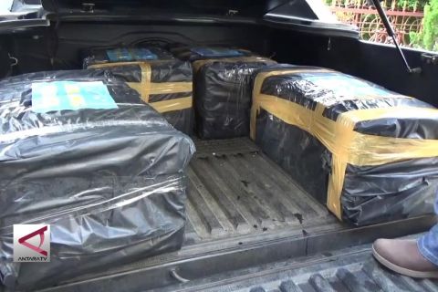 BKIPM Jambi gagalkan penyeludunpan benih lobster