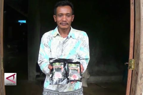 Kopi Robusta Asal Lobang Kabupaten Batang