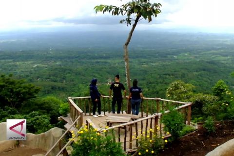 SJ 88 Jember, Pesona Bukit di Atas Awan