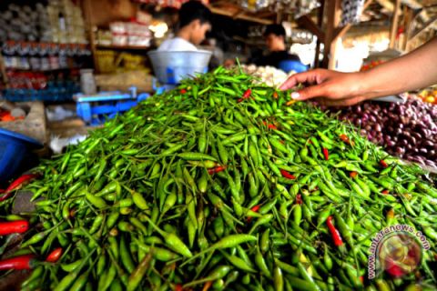 Harga Cabai Rawit Melonjak