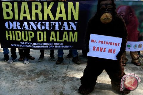 Hari Primata Indonesia