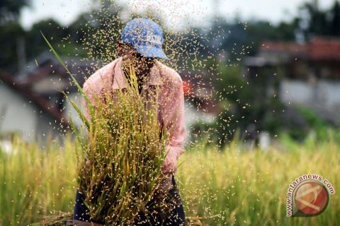 Produktivitas Padi Jabar