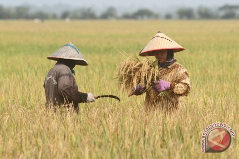 Upah buruh tani nasional