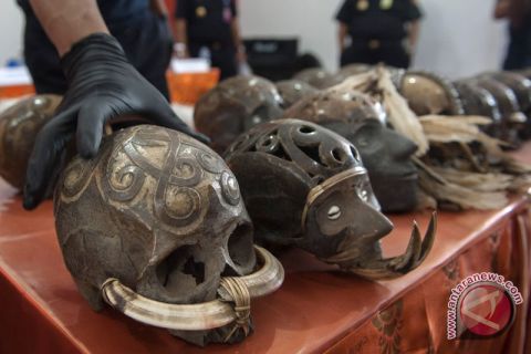 Penggagalan Ekspor Tengkorak