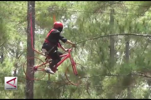 Memanfaatkan hutan pinus jadi wahana wisata