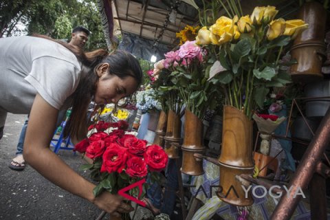 BUNGA MAWAR JELANG VALENTINE