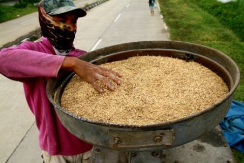 Penggiling Gabah Keliling
