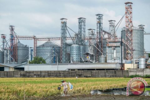 Penggunaan kedelai industri pakan ternak