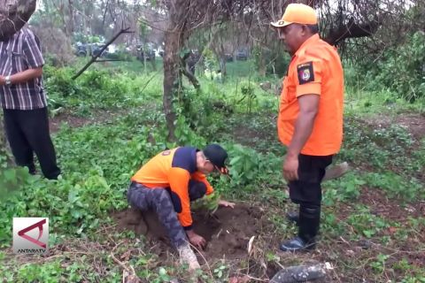 Menyelamatkan bukit di Jember melalui penghijauan