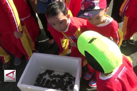 Edukasi anak usia dini dengan pelepasan tukik