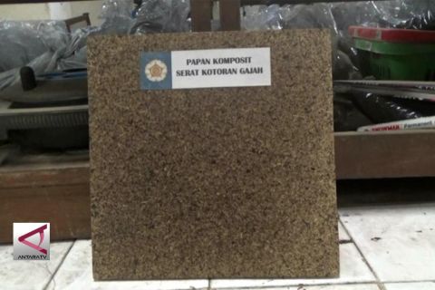 Limbah gajah jadi papan komposit
