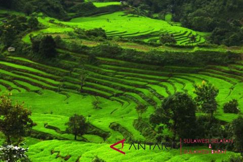 Target cetak sawah baru