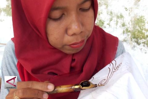 Jaga kelestarian hutan melalui batik meru betiri