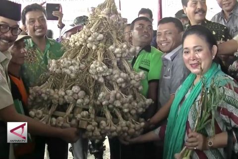 Komisi IV DPR pastikan Program Swasembada Bawang Putih tercapai