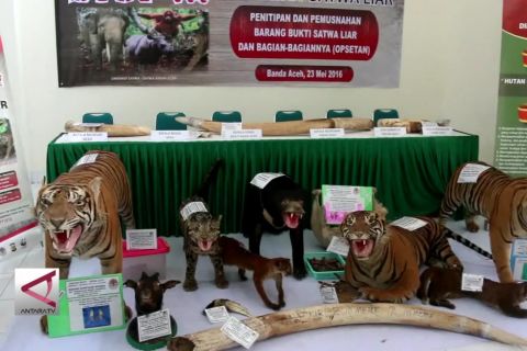 DPR Aceh wacanakan qanun perlindungan satwa liar