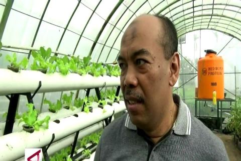 Memanfaatkan kotoran cacing dan ikan untuk pertanian